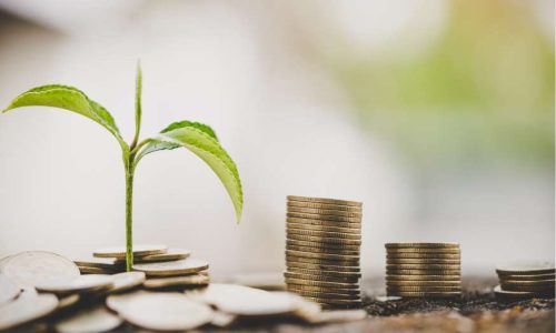 Economia e innovazione sostenibile: un binomio vincente per lo sviluppo