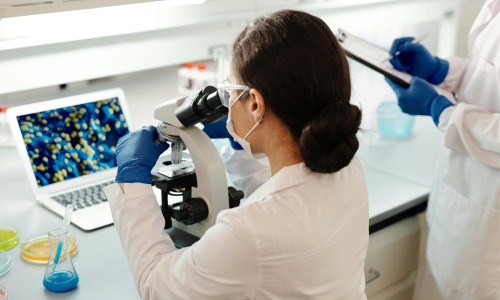 Biotecnologie ambientali: nuove soluzioni per la bonifica e il recupero