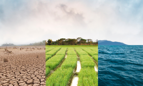 Imprese e giustizia climatica: il nuovo fronte della responsabilità sociale