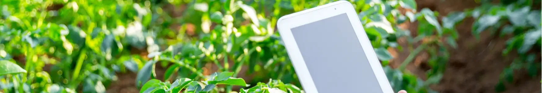 Agricoltura 4.0 e sicurezza alimentare: la tecnologia può stabilizzare la volatilità dei mercati agricoli globali?