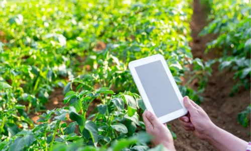 Agricoltura 4.0 e sicurezza alimentare: la tecnologia può stabilizzare la volatilità dei mercati agricoli globali?